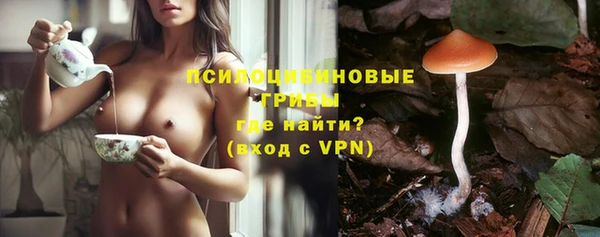 прущая мука Абаза