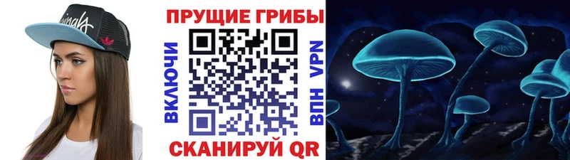 Псилоцибиновые грибы мицелий  Инта 